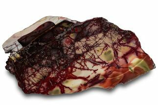 Vibrant Polished Mookaite Jasper Slab - Australia #314271