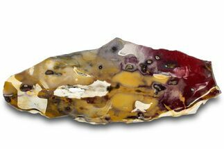 Vibrant Polished Mookaite Jasper Slab - Australia #314273