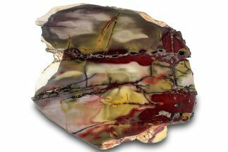 Vibrant Polished Mookaite Jasper Slab - Australia #314275