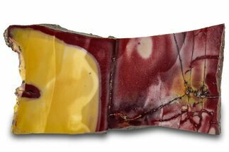 Vibrant Polished Mookaite Jasper Slab - Australia #314281