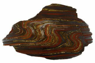 Polished Tiger Iron Stromatolite Slab - Billion Years #314305