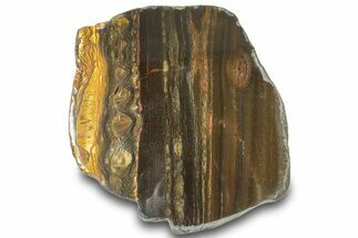 Polished Packsaddle Tiger Eye Section - Western Australia #314377