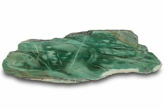 Polished Green Magneprase Section - Western Australia #314387