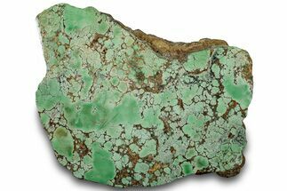 Polished Variscite Section - Australia #314395