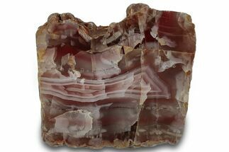 Polished Pilbara Agate Section - Oldest Known Agate #314398