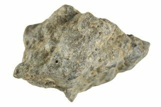 Lunar Meteorite ( g) - Laayoune #313153
