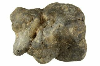 Lunar Meteorite ( g) - Laayoune #313155