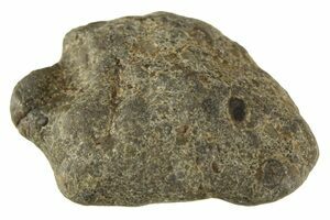 激安通販の Lunar Meteorite - Laayoune 002 For Sale - FossilEra.com サプライ・アクセサリ・グッズ