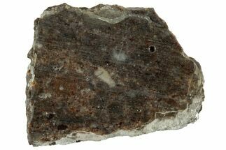 Lunar Meteorite ( g) Slice - Laayoune #313376