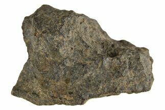 Carbonaceous Chondrite Meteorite ( g) - NWA #313689