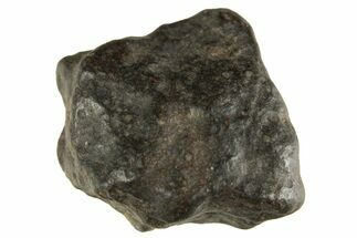 Carbonaceous Chondrite Meteorite ( g) - NWA #313694