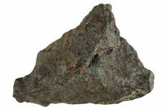 Carbonaceous Chondrite Meteorite ( g) - NWA #313701