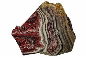 ★keike★ Shape of Perth Coral 0463CA5D-0F46-4B19-932D-