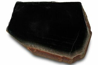 Polished Black Jade (Actinolite) Slab - Western Australia #314574