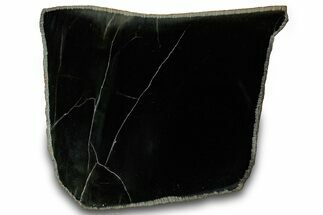 Polished Black Jade (Actinolite) Slab - Western Australia #314575