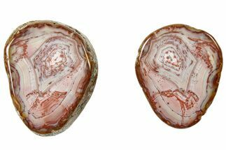 Polished, Banded Bahia Agate Nodule Pair - Brazil #314692