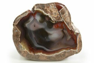 Polished Baker Ranch Banded Agate Section - New Mexico #314724