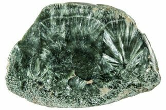 Polished Seraphinite Section - Korshunovkiy Mine, Siberia #314958