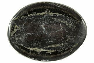 Polished Fish Coprolite (Fossil Poo) Nodule Half - Scotland #314897