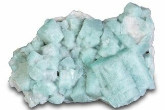 Gorgeous Amazonite Crystal - Percenter Claim, Colorado #315639