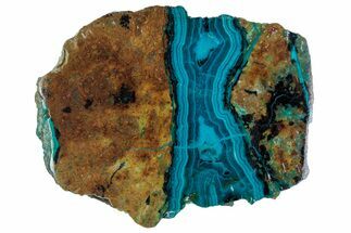 Polished Banded Chrysocolla and Malachite - Bagdad Mine, Arizona #315659