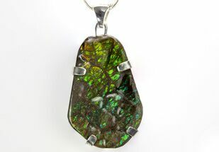 Brilliant Ammolite Pendant (Necklace) - Alberta, Canada #315397