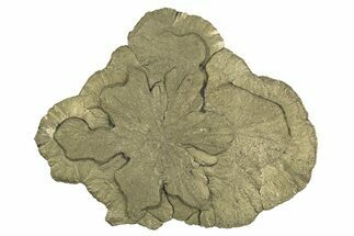 Pyrite Sun - Sparta, Illinois #315948