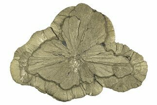 Pyrite Sun - Sparta, Illinois #315952