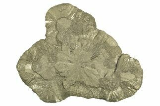 Pyrite Sun - Sparta, Illinois #315957