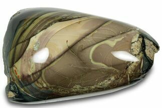 Polished Section of Blue Mountain Jasper - Oregon #316127