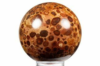 Polished Bauxite (Aluminum Ore) Sphere - Russia #316274