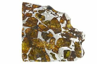 Pallasite Meteorites For Sale