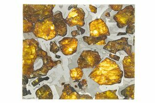 Pallasites For Sale