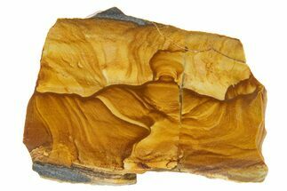 Polished Golden Picture Jasper Slice - Nevada #316215