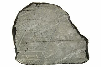 Etched Muonionalusta Meteorite Slice ( g) - Sweden #316726