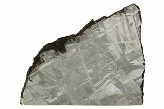 Etched Muonionalusta Meteorite Slice ( g) - Sweden #316731