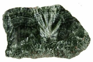 Polished Seraphinite Slab - Korshunovkiy Mine, Siberia #317728