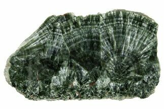 Polished Seraphinite Slab - Korshunovkiy Mine, Siberia #317738