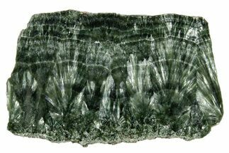 Polished Seraphinite Slab - Korshunovkiy Mine, Siberia #317748