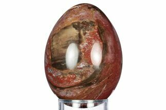 Colorful, Polished Petrified Wood Egg - Madagascar #318327