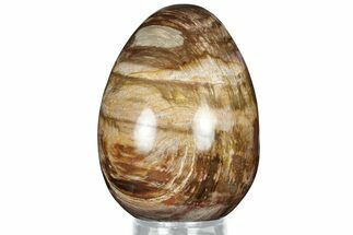 Colorful, Polished Petrified Wood Egg - Madagascar #318351