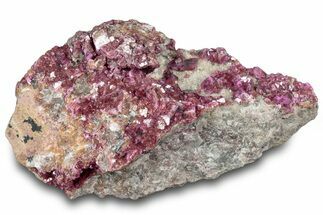 Sparkling Cobaltoan Dolomite Crystals on Quartz - DR Congo #317813