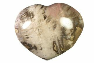 Polished Triassic Petrified Wood Heart - Madagascar #318366