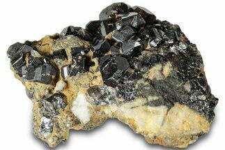 Gemmy Cassiterite Crystal Cluster - Viloco Mine, Bolivia #318883