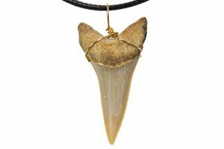 Fossil Mako Shark Tooth Necklace - Bakersfield, California #318855