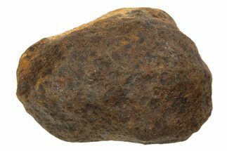 Mundrabilla Iron Meteorite ( g) - Australia #318881