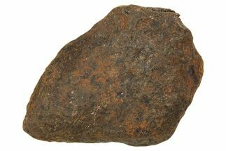 Mundrabilla Iron Meteorite ( g) - Australia #318887