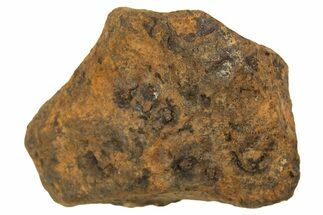 Mundrabilla Iron Meteorite ( g) - Australia #318931