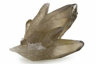 Smoky Quartz Cluster with Hyalite Opal Inclusion - Nambia #319220