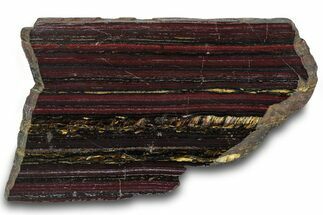Polished Tiger Iron Stromatolite Slab - Billion Years #319491